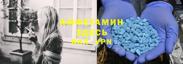ГАЛЛЮЦИНОГЕННЫЕ ГРИБЫ Абаза