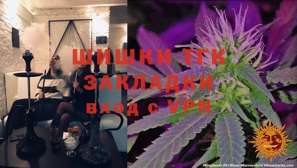 ГАЛЛЮЦИНОГЕННЫЕ ГРИБЫ Абаза