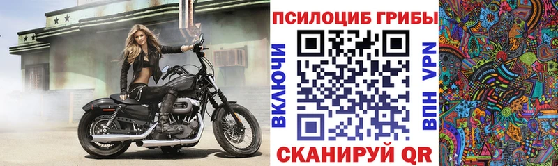 Галлюциногенные грибы ЛСД  Заринск 